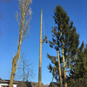 MW Gartenbau Bergisch Gladbach: Baumfällung und Heckenschnitt
